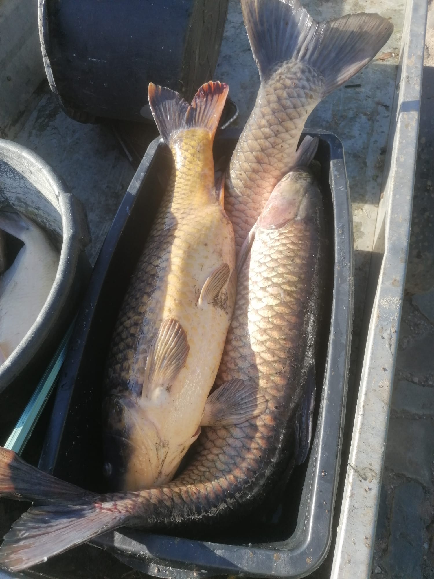 Sauerstoffmangel 2023